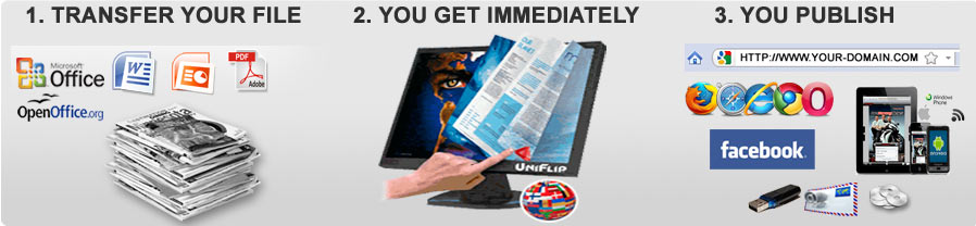 online 3 steps for pdf to flash