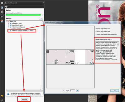 View example of hidden text, and other objects!