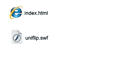 Use the index or swf file to execute from your server.