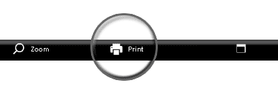 Disable the print function in the online viewer