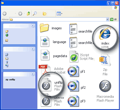 After extracting the files you need to use one of the following files: index.html or uniflip.swf.